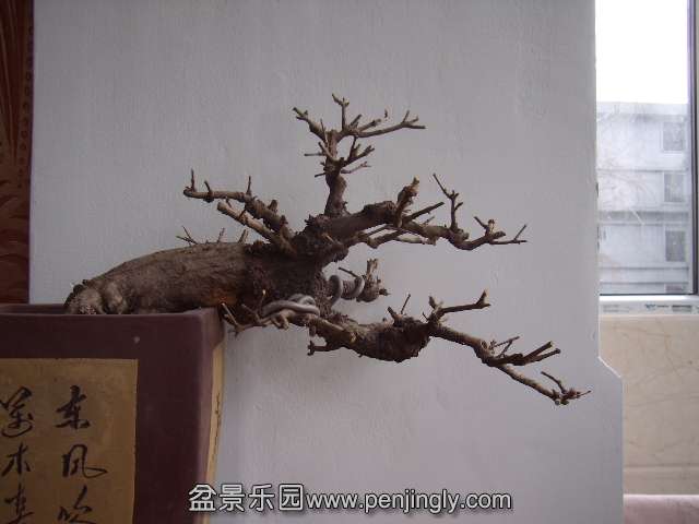 PB240016.JPG