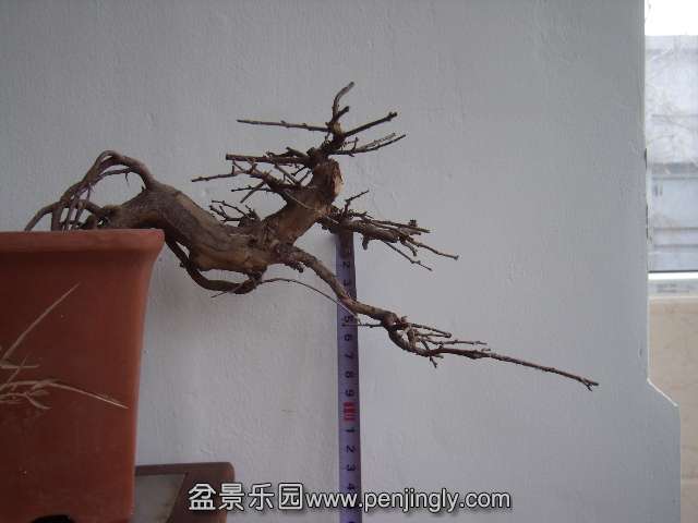 PB240029.JPG