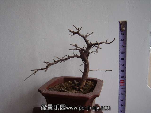 PB240033.JPG