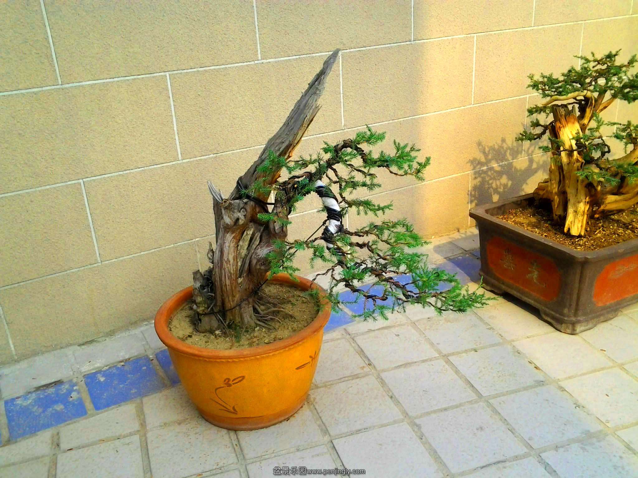 Ƭ0204.jpg