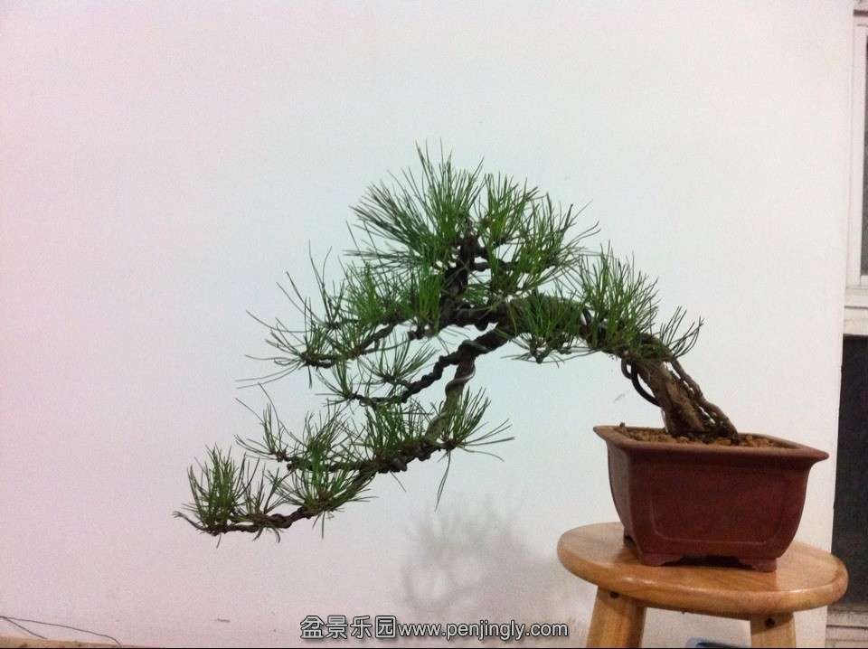 QQͼƬ20131124215849.jpg