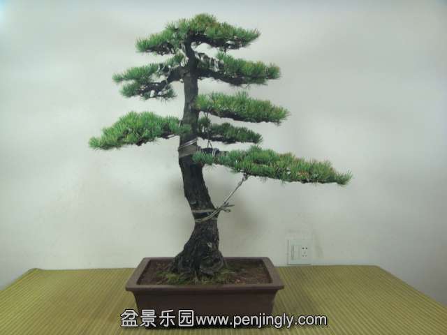 DSC04186.JPG