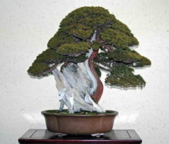 h17111.1-meifu_6.jpg