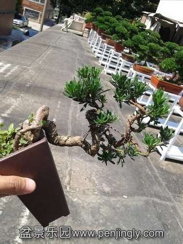 2013-07-19 14.11.47.jpg