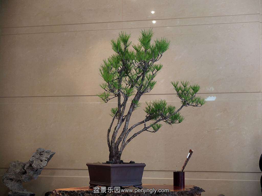 DSCF2039.jpg