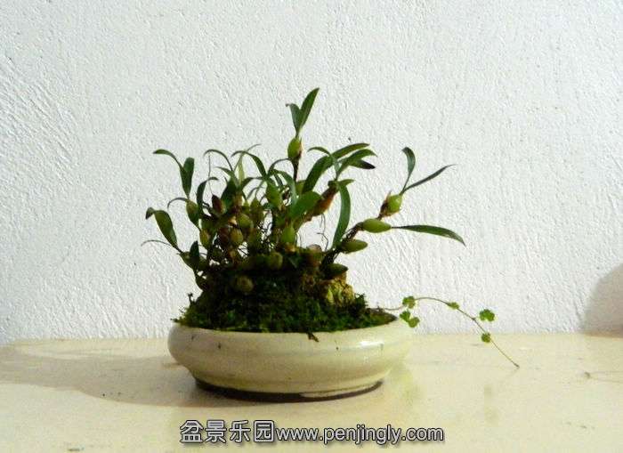 Ƭ 009.jpg