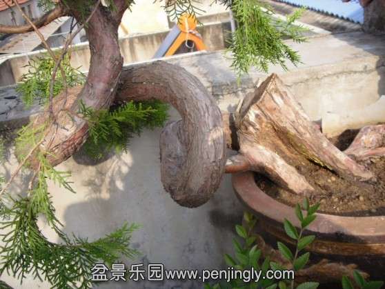 SDC13737.JPG