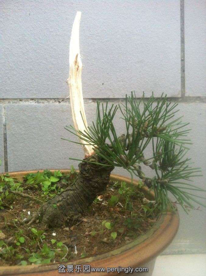 QQͼƬ20131126204612.jpg