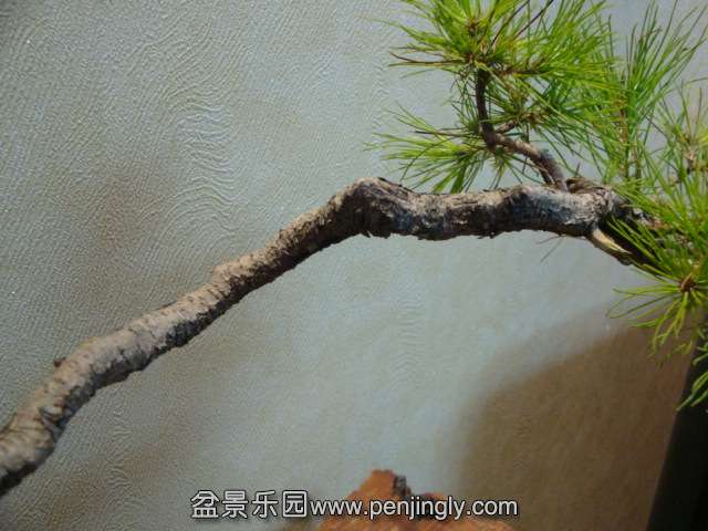 DSC06012.JPG