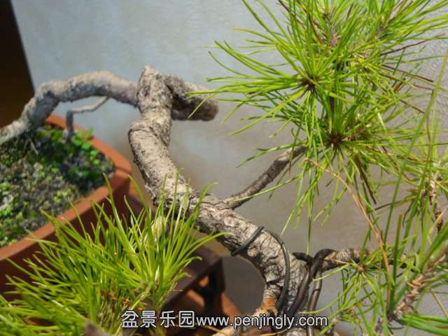 DSC06015.JPG
