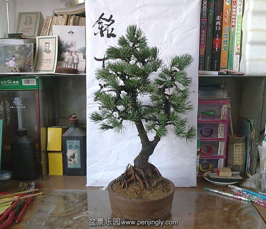 QQͼƬ20131129121910.jpg