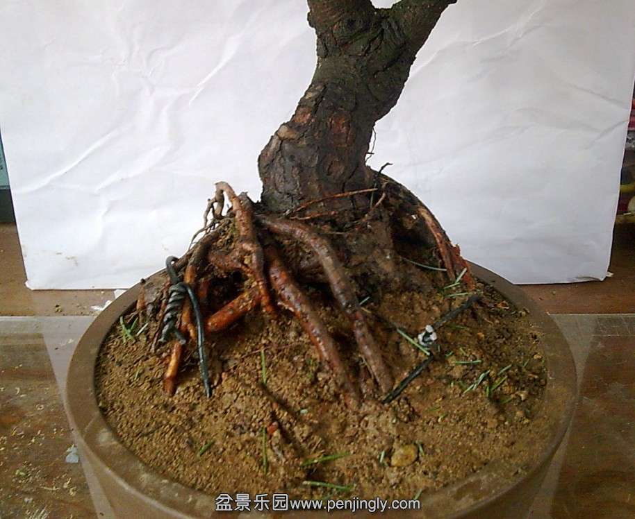 QQͼƬ20131129121913.jpg
