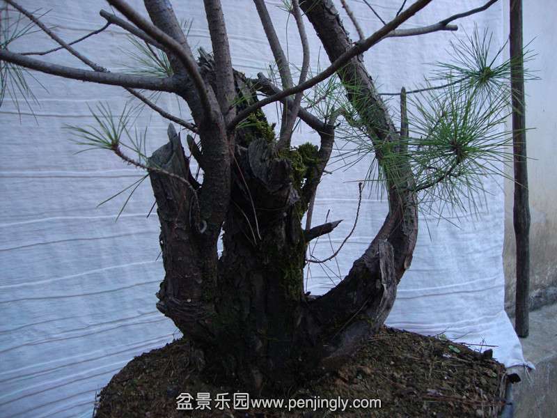 DSC01809_.jpg