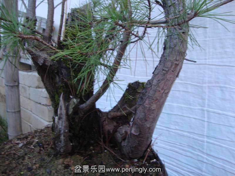 DSC01810_.jpg