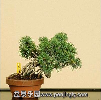 QQͼƬ20131130160756.jpg