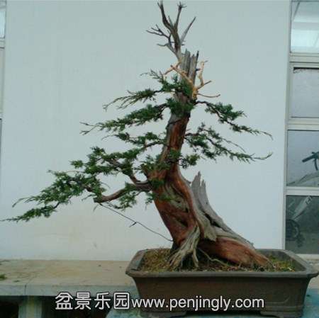 IMG_20131130_165556.jpg