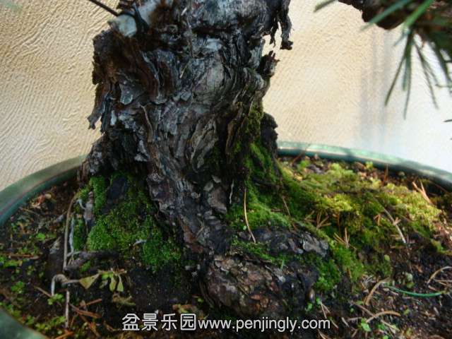 DSC06087.JPG