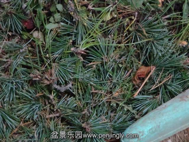 DSC06093.JPG