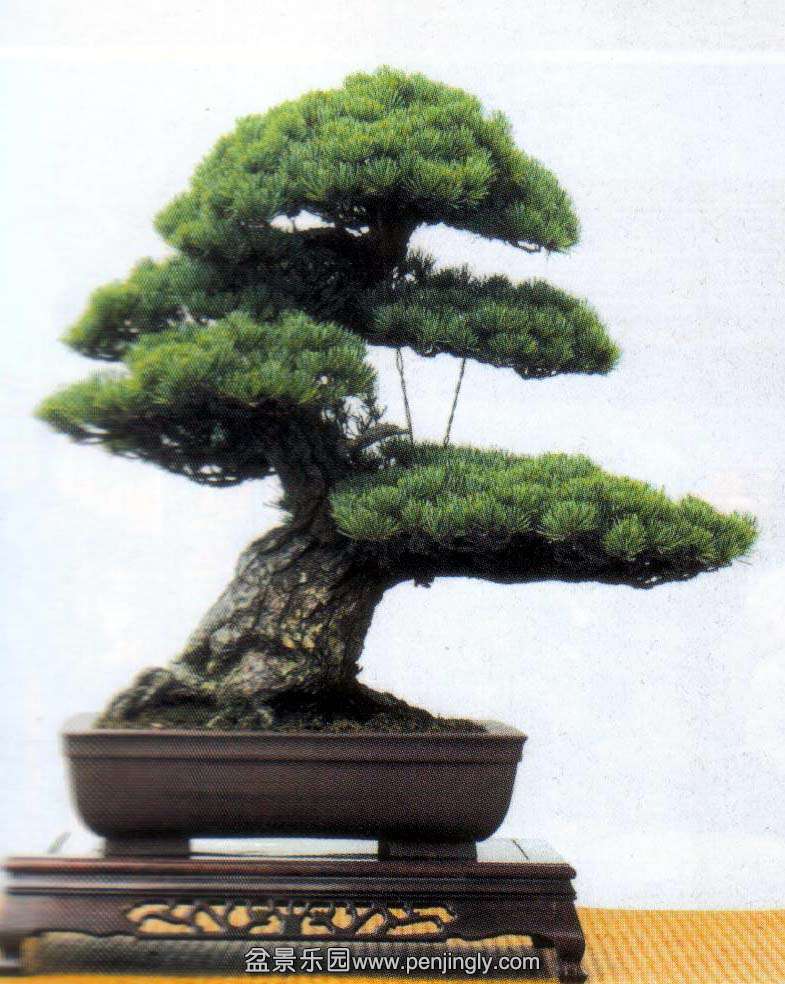 ¸-.jpg