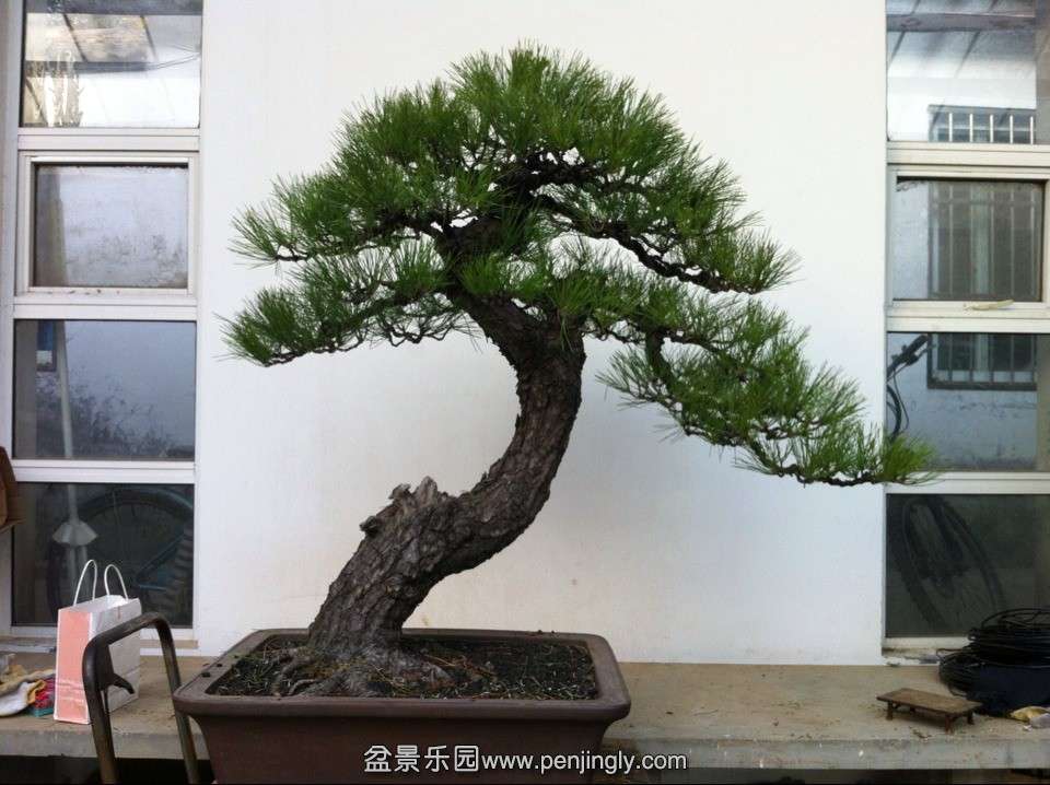 QQͼƬ20131202184431.jpg