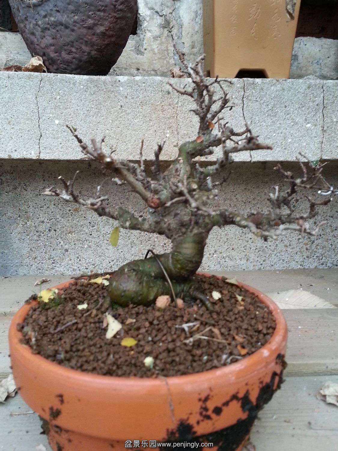 20131202_073105.jpg
