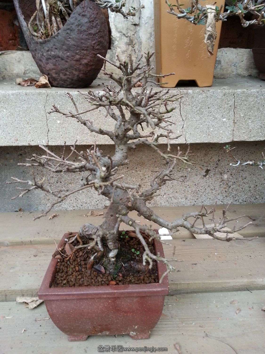 20131202_073152.jpg
