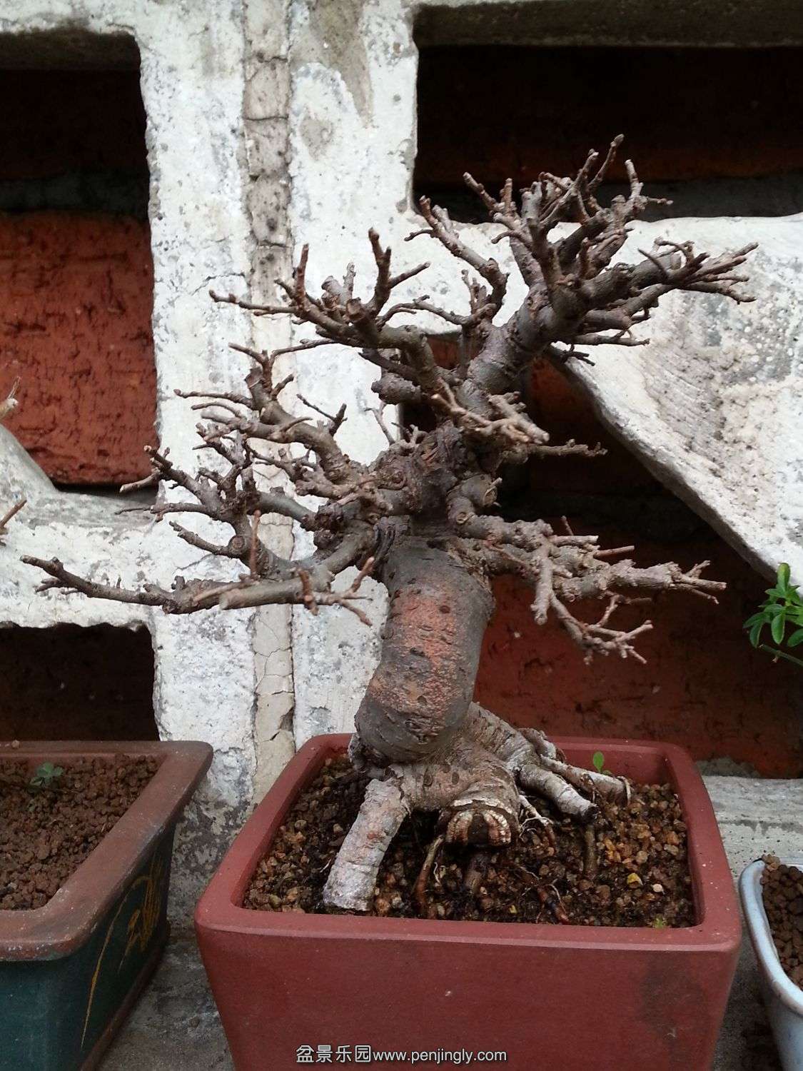 20131202_073211.jpg
