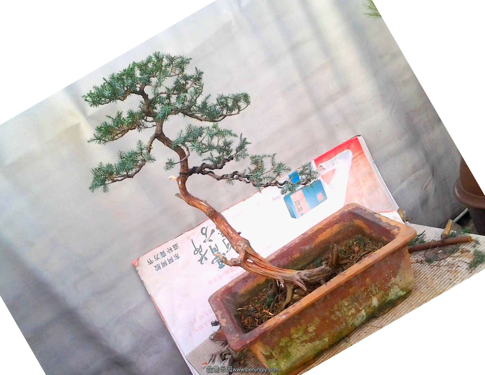 Ƭ0315.jpg