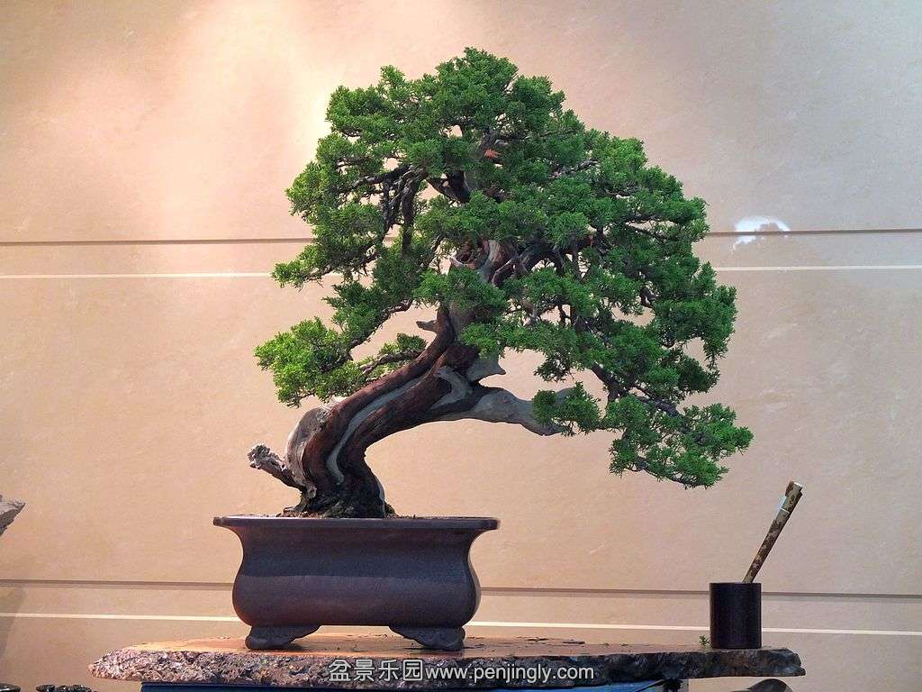 DSCF2847.jpg