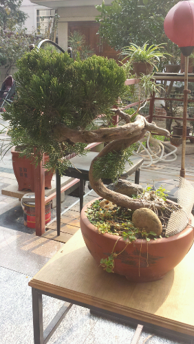 20131204_130355.jpg