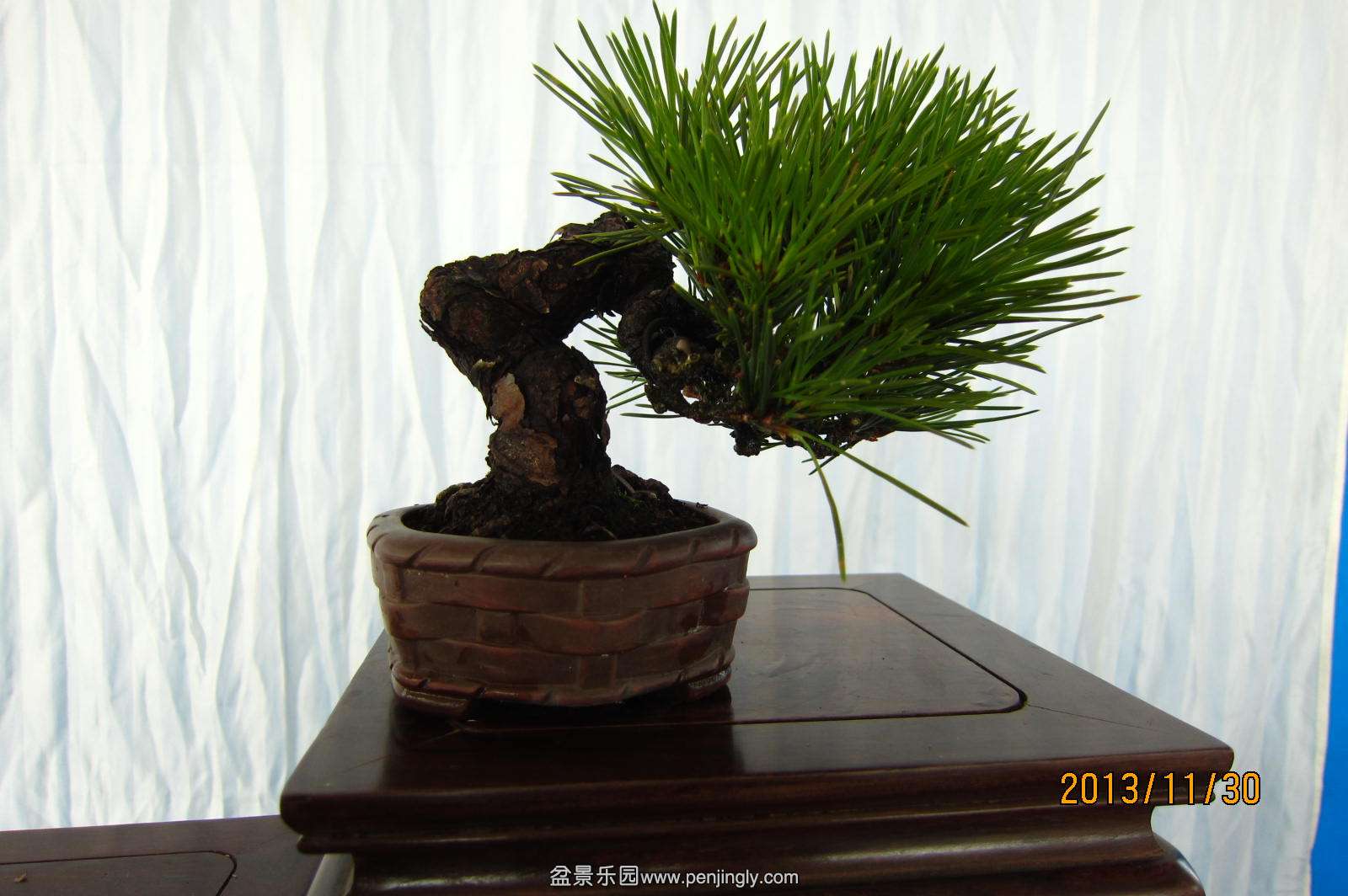 IMG_0072.JPG