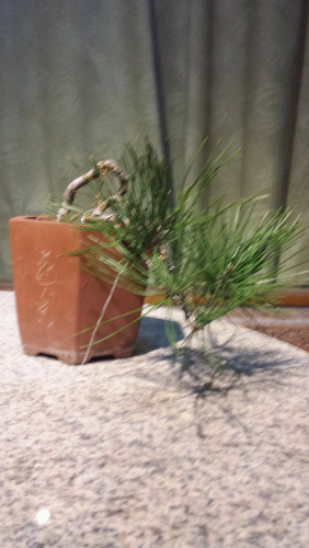 20131204_182259.jpg