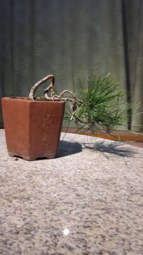 20131204_182219.jpg