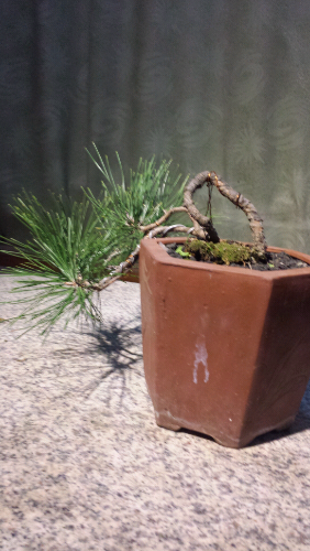 20131204_182238.jpg