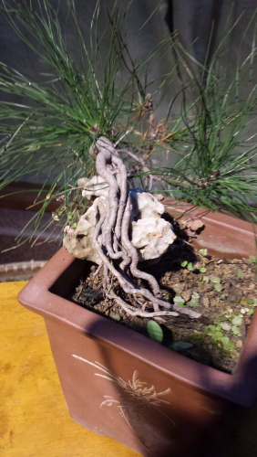20131204_185638.jpg