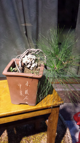 20131204_185627.jpg