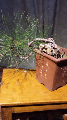 20131204_185649.jpg