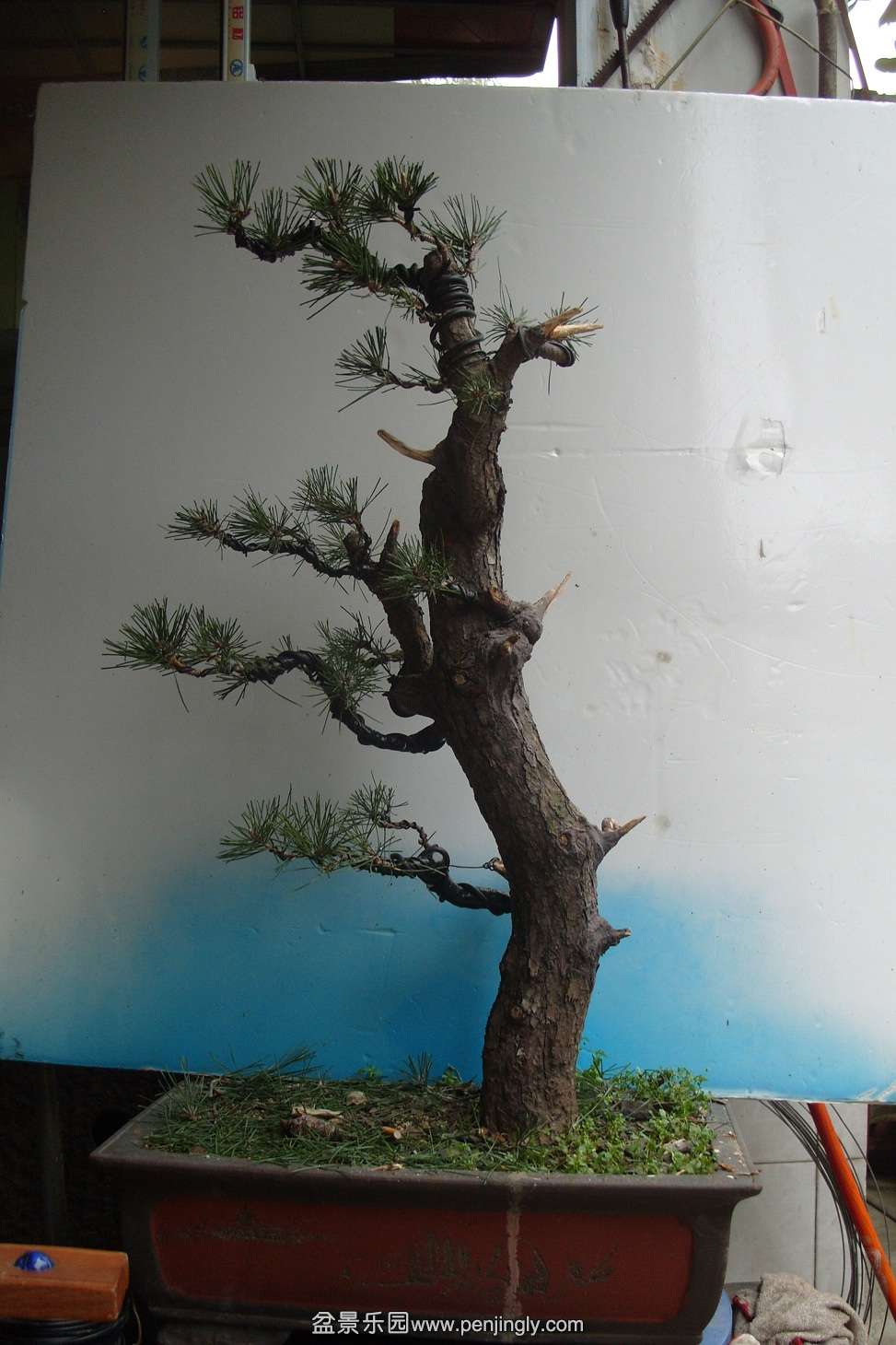 S1050279.JPG