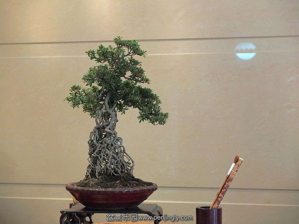 DSCF3045.jpg
