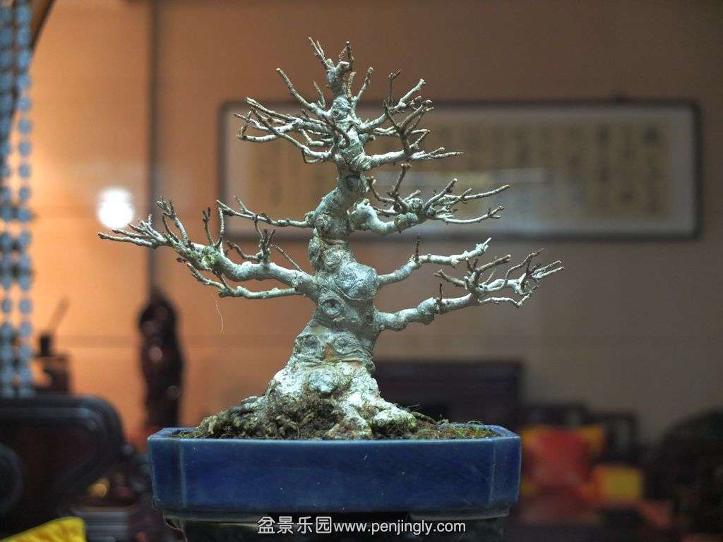DSCF2755.jpg
