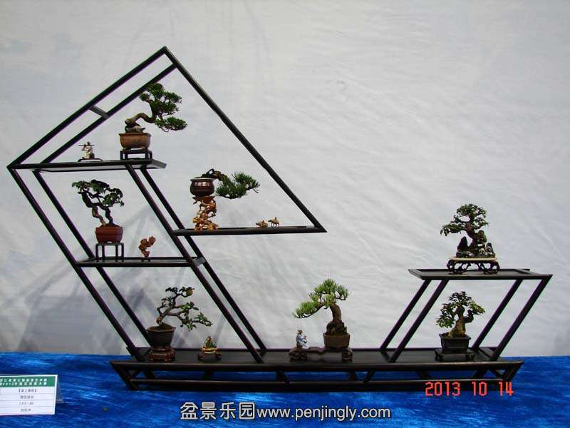 01.jpg