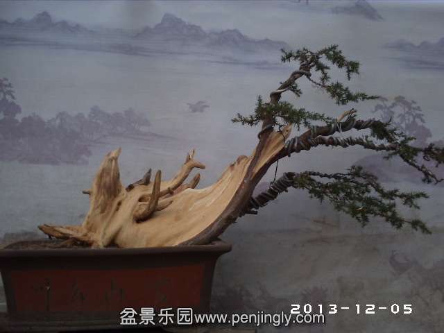 PHOT0290.JPG