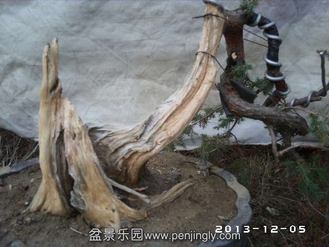 PHOT0295.JPG