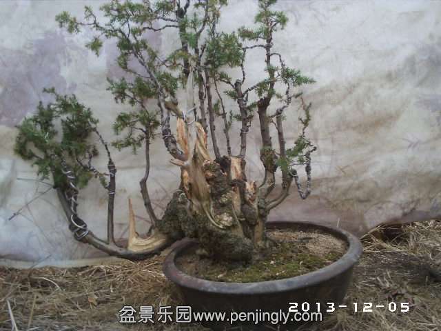 PHOT0296.JPG