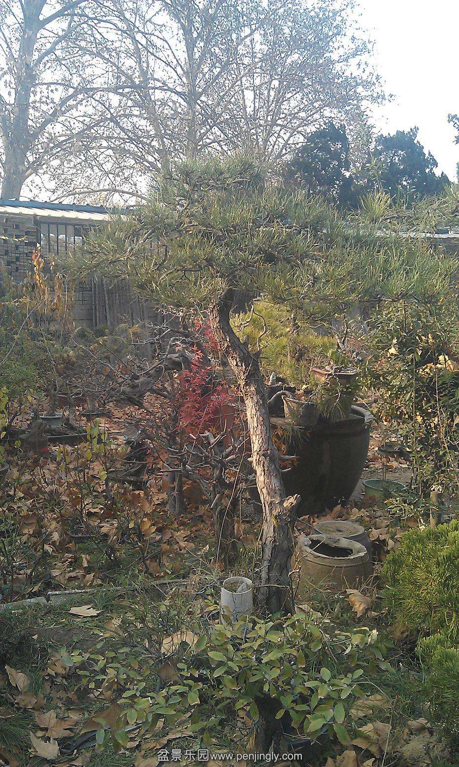 IMAG0499.jpg