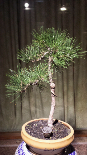 20131205_201540.jpg