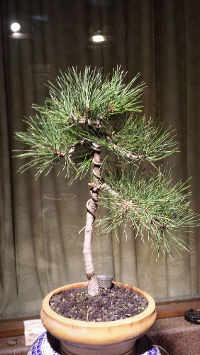 20131205_201616.jpg