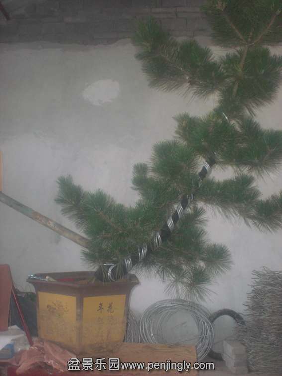 CIMG67650.jpg