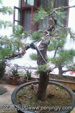 IMG0298A.jpg