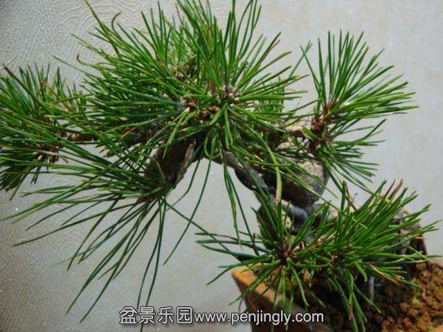 DSC06040.JPG